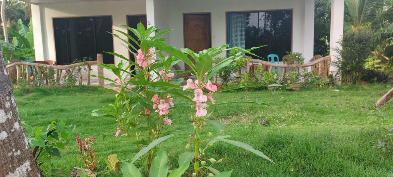 Andnindot Garden Resort Anda  Dış mekan fotoğraf