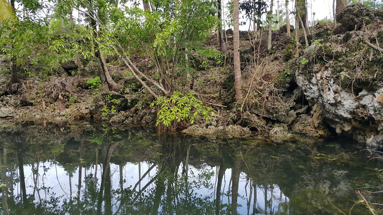 Andnindot Garden Resort Anda  Dış mekan fotoğraf